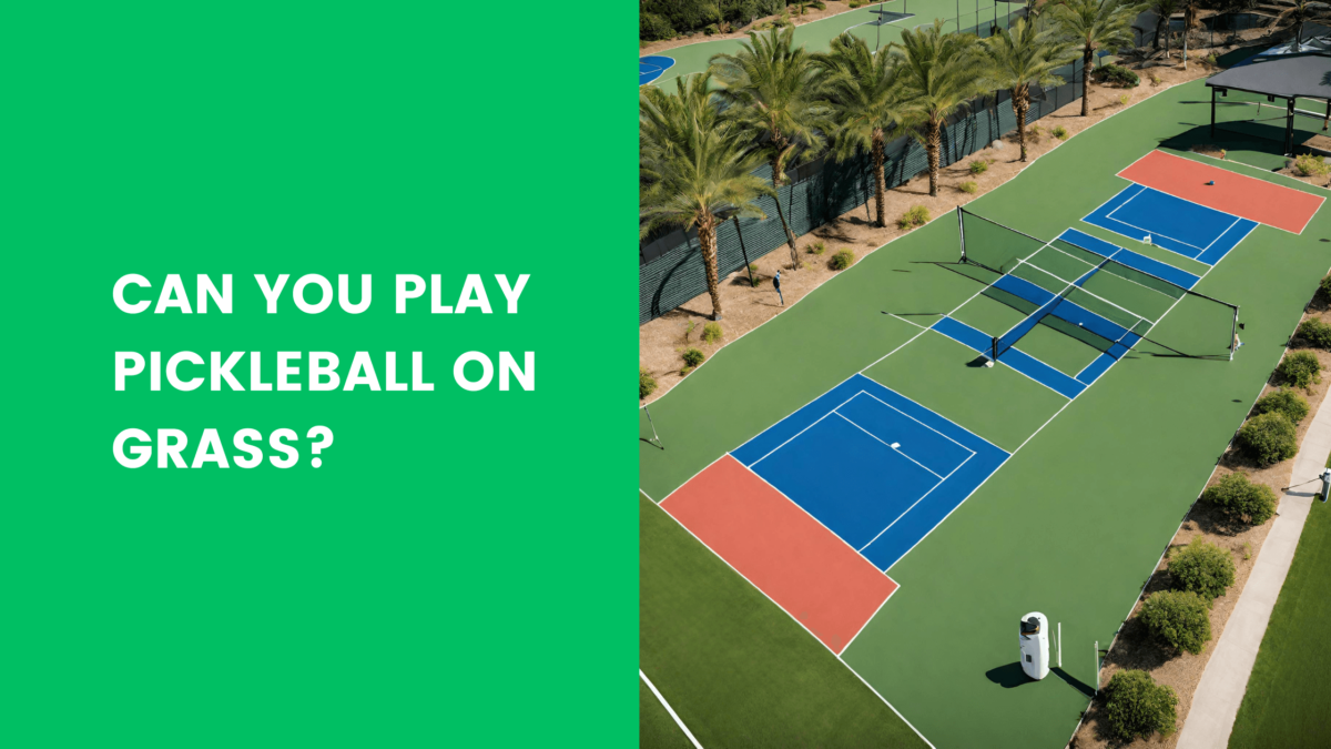 Read more about the article Can You Play Pickleball on Grass?