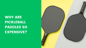 Read more about the article Why are Pickleball Paddles so Expensive?