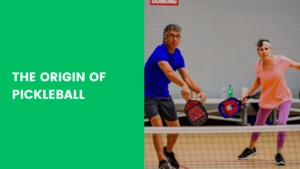 Read more about the article The Origin of Pickleball-why is it called pickleball?